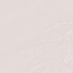 Novosibirsk Terrain Map