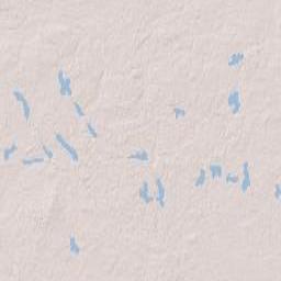 Warmian-Masurian Voivodeship Terrain Map