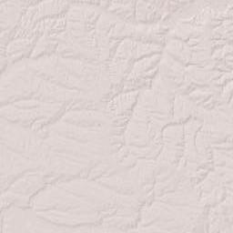 Donetska oblast Terrain Map