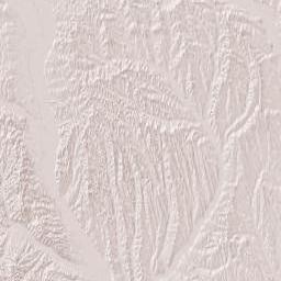 Vaslui County Terrain Map