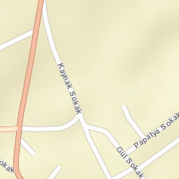 Sokak Görünümü