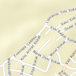 Sokak Görünümü