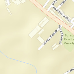 Sokak Görünümü