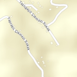 Sokak Görünümü