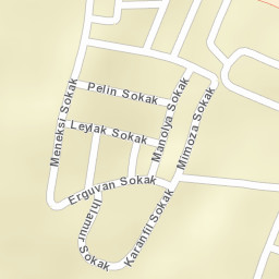 Sokak Görünümü