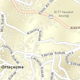 Sokak Görünümü