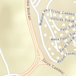 Sokak Görünümü