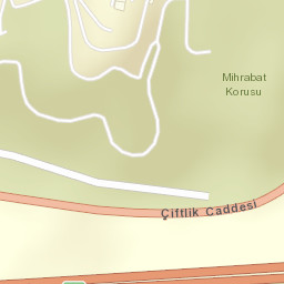 Sokak Görünümü