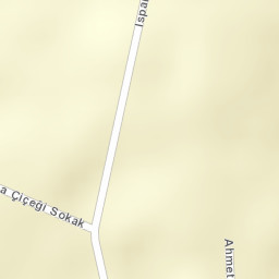 Sokak Görünümü