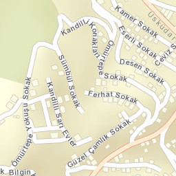 Sokak Görünümü