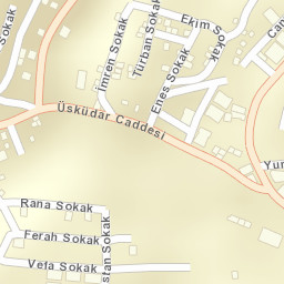Sokak Görünümü