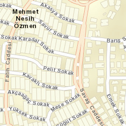 Sokak Görünümü