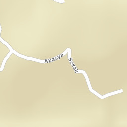 Sokak Görünümü
