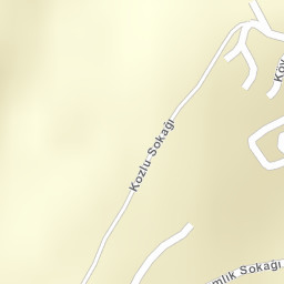 Sokak Görünümü