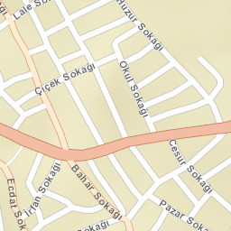 Sokak Görünümü
