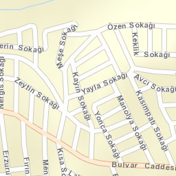 Sokak Görünümü