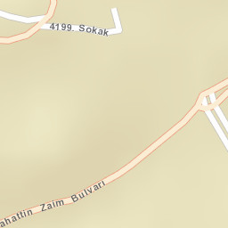 Sokak Görünümü