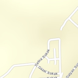 Sokak Görünümü