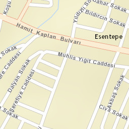 Sokak Görünümü