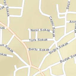 Sokak Görünümü