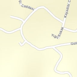 Sokak Görünümü