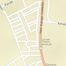 Sokak Görünümü