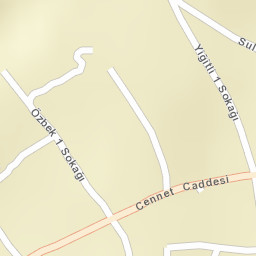 Sokak Görünümü