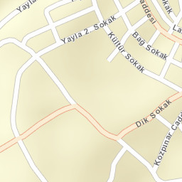 Sokak Görünümü
