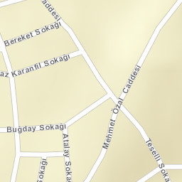 Sokak Görünümü