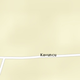 Sokak Görünümü