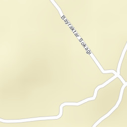 Sokak Görünümü