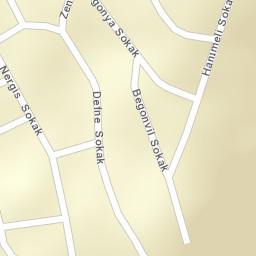 Sokak Görünümü