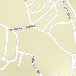 Sokak Görünümü