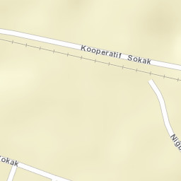 Sokak Görünümü