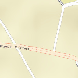 Sokak Görünümü