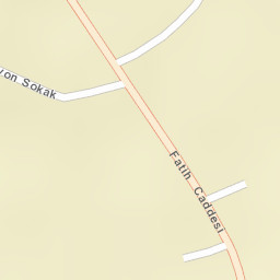 Sokak Görünümü