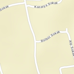 Sokak Görünümü