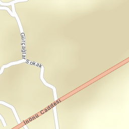 Sokak Görünümü