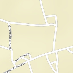 Sokak Görünümü