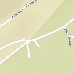 Sokak Görünümü