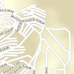 Sokak Görünümü