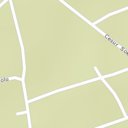 Sokak Görünümü