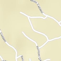 Sokak Görünümü