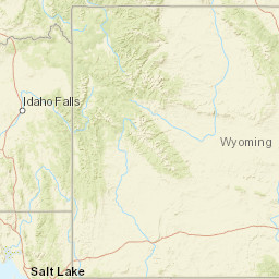 Species Profile For Colorado Checkered Whiptail Cnemidophorus Tesselatus