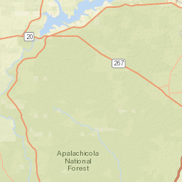 Springhill Road, Apalachicola National Forest Street Map