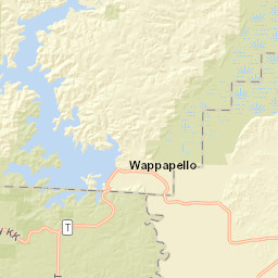 8428-8450 Missouri T, Mark Twain National Forest Street Map