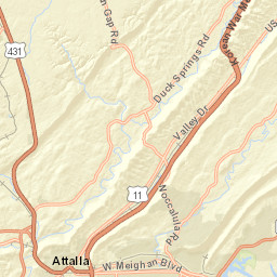 2234-3152 Cox Gap Road, Boaz, AL 35956 Street Map