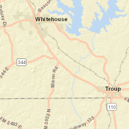 100-128 South Georgia Street, Troup, TX Street Map