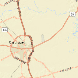 Beckville TX 75631 America Street Map