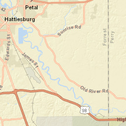 223 Luther Carter Rd Petal MS 39465 Street Map